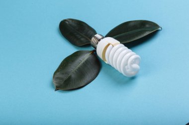 Yeşil yapraklı enerji tasarruflu floresan lamba, ECO enerji konsepti, karışık medya. İzole edilmiş, başlık ve metin için yer.