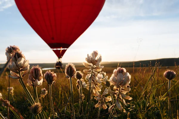 一个心形的热气球在夕阳西下的花坛上飞舞 — 图库照片