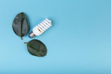 Yeşil yapraklı enerji tasarruflu floresan lamba, ECO enerji konsepti, karışık medya. İzole edilmiş, başlık ve metin için yer.
