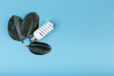 Yeşil yapraklı enerji tasarruflu floresan lamba, ECO enerji konsepti, karışık medya. İzole edilmiş, başlık ve metin için yer.