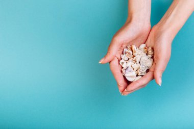 Farklı deniz kabuklarını tutan bir makro, mavi arkaplan önünde mercanlar, yazının başlığı ile izole edilmiş. Tatil kavramı.