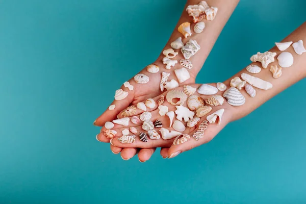 Macro Hand Holding Different Kinds Seashells Corals Front Blue Background — Stock Photo, Image