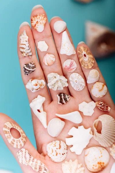 Macro Hand Holding Different Kinds Seashells Corals Front Blue Background — Stock Photo, Image