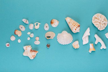 Değişik deniz kabuklarından oluşan bir makro, mavi arkaplan önünde mercanlar, yazının başlığıyla izole edilmiş. Tatil kavramı