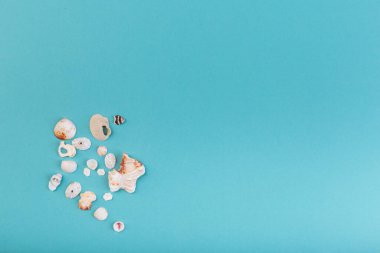 Değişik deniz kabuklarından oluşan bir makro, mavi arkaplan önünde mercanlar, yazının başlığıyla izole edilmiş. Tatil kavramı.