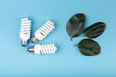 Yeşil yapraklı ağaç dalı şeklinde enerji tasarruflu floresan lamba, ECO enerji konsepti, karışık medya. İzole, başlık ve metin için bir yer.