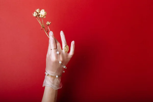 Moda sanatçısı, yaz mevsiminde mücevherli eldivenli kadın ve elinin arkasında parlak, zıt makyajlı çiçekler. Yaratıcı güzellik, fotoğraf el derisi..