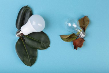 Eko-enerji tasarruflu LED lamba kavramı parlak bir lamba üzerinde avantajlar. İki lamba taze ve öldü. Elektrik ve para tasarrufu yüzünden..