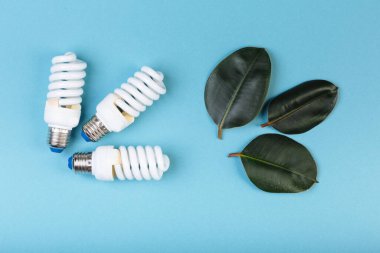 Yeşil yapraklı ağaç dalı şeklinde enerji tasarruflu floresan lamba, ECO enerji konsepti, karışık medya. İzole, başlık ve metin için bir yer.