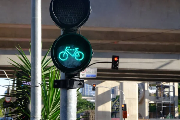 Grönt Ljus För Bycicle Körfält Trafikljus Stockbild