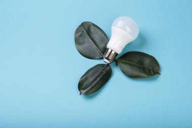 Yeşil yapraklı LED lamba, ECO enerji konsepti, karışık medya. İzole edilmiş, başlık ve metin için yer.