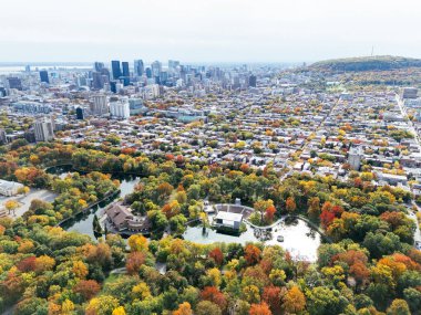 Halka açık bir park, sonbahar yaprağı rengi değişimi, şehir merkezindeki gökdelenler..
