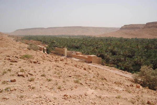Palmiye ağacı orman, kaya, dağlar ve eski dünya evleri Dragan Valley, Fas