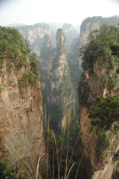 Avatar dağlar ve tepeler Wulingyuan Milli Parkı, Zhangjiajie, Hunan, Çin