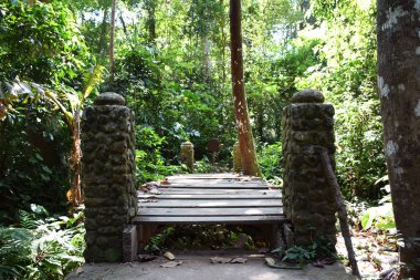 Eski ahşap köprü ve orman geçmişi olan taş sütun.