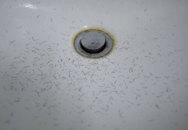 ne zaman tıraş sakal ve bıyık havzası içinde yakın