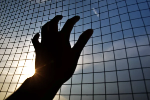 silhouette hand holding on iron net cage with blue sky and city background sunset