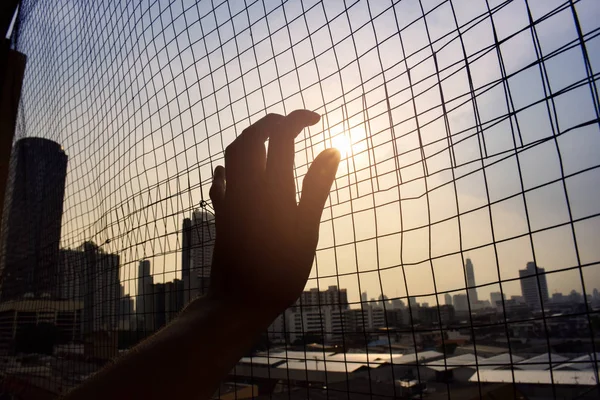 Silhouet Hand Hebt Ijzeren Netto Kooi Met Blauwe Lucht Stad — Stockfoto