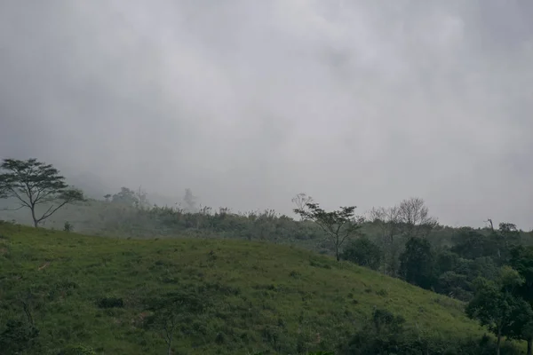 Vista Niebla Sobre Árbol Verde Montaña Tailandia Umphang — Foto de Stock