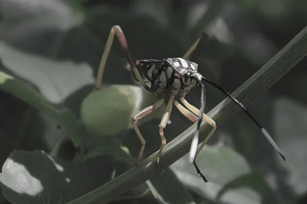 Kırsal ve tepeleri güzel manzara .........