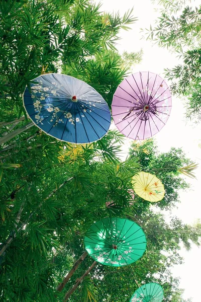 colorful umbrellas hanging on trees in park of Guangzhou, China