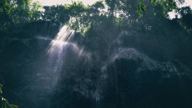 güzel Tumalog Falls Oslob, Cebu, Filipinler doğal çekim