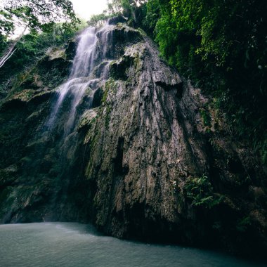 güzel Tumalog Falls Oslob, Cebu, Filipinler doğal çekim