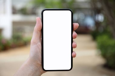 telefon ile izole bir perde doğa arka planda tutan el