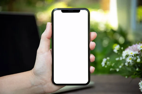 female hand holding phone with isolated screen on background of green nature