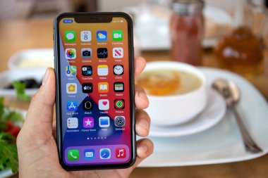 Alanya, Türkiye - 8 Ekim 2020: Apple iPhone 11 ile ana ekran IOS 14 ile el ele tutuşan adam restoranda ekranda.