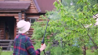 Koruyucu eldiven takan ve gözlük takan bir kadın güneş doğarken bahçedeki ağaçlara böcek ilacı sıkar.