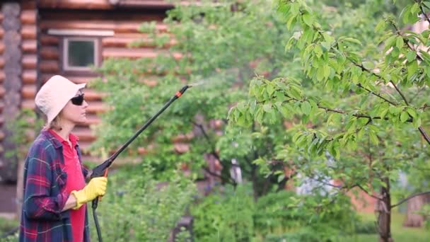 Kvinna Med Skyddshandskar Och Glasögon Sprayar Insekticider Träd Trädgård Vid — Stockvideo