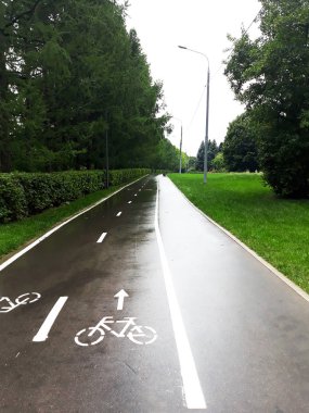 Yağmurlu yeşil park yolu