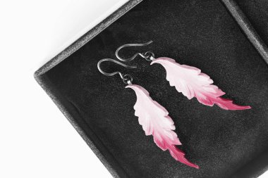 bir kutu içinde küpe