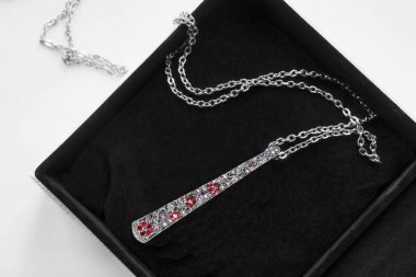 Bir kutu içinde kolye