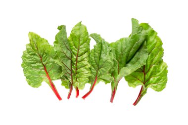 Taze pazı salatası yaprakları beyaz üzerine izole edilmiş.