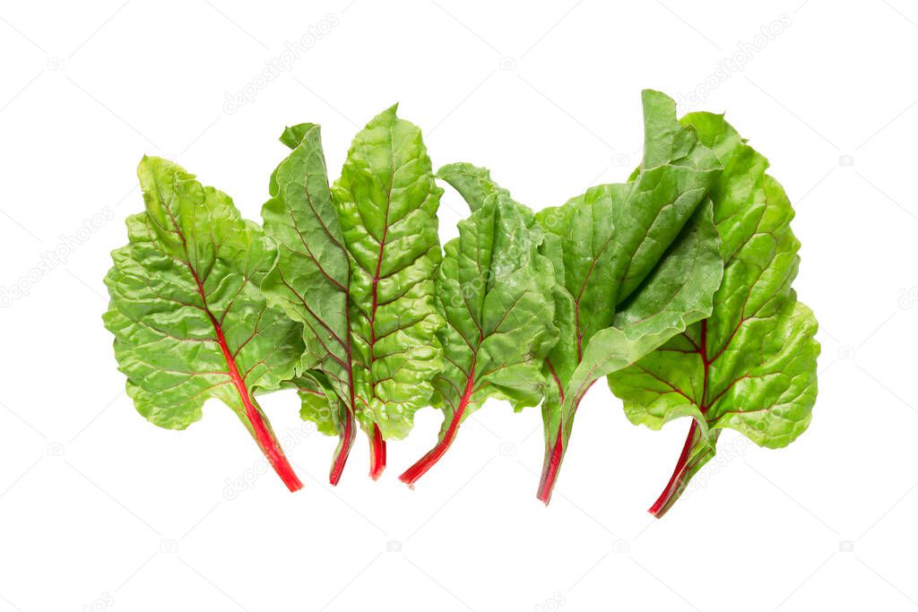 Fresh chard salad leaves isolated over white