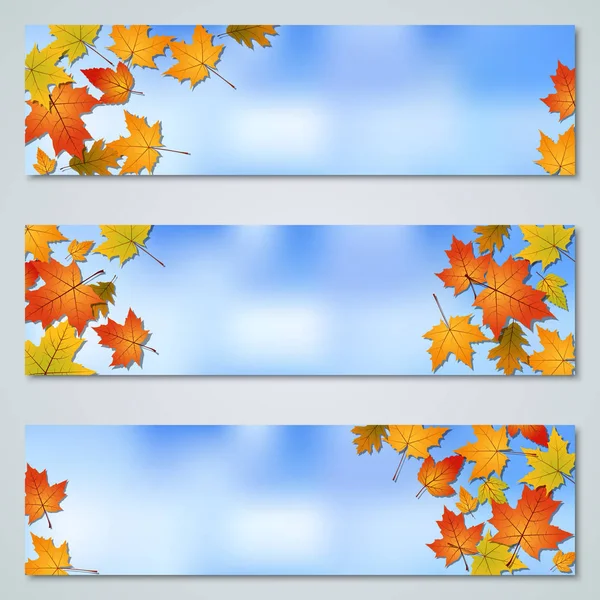Renkli gökyüzü arka plan vektör afiş koleksiyonu ile yaprak