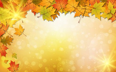 Renkli yaprakları ve ışık efektleri ile Sonbahar tarzı bulanık vektör arka plan