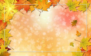Renkli yaprakları ve ışık efektleri ile Sonbahar tarzı bulanık vektör arka plan