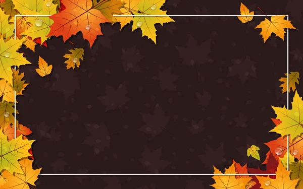 Fondo Vectorial Estilo Otoño Con Hojas Coloridas Marco Blanco — Archivo Imágenes Vectoriales