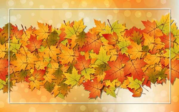 Fondo Vectorial Estilo Otoño Con Hojas Coloridas Marco Blanco — Vector de stock