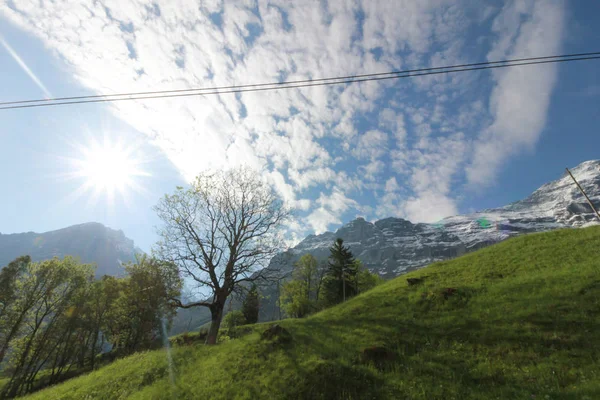 Πράσινο Πεδίο Titlis Ελβετία Από Την Οπτική Γωνία 360 Μοιρών — Φωτογραφία Αρχείου