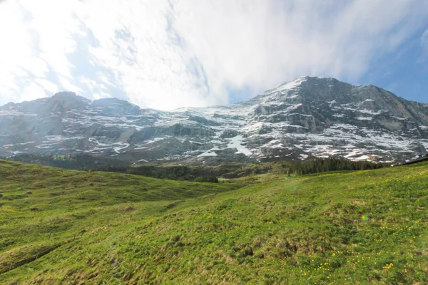 Grönt Fält Titlis Schweiz Från Utsiktspunkten 360 Graders Panorama Populära — Stockfoto