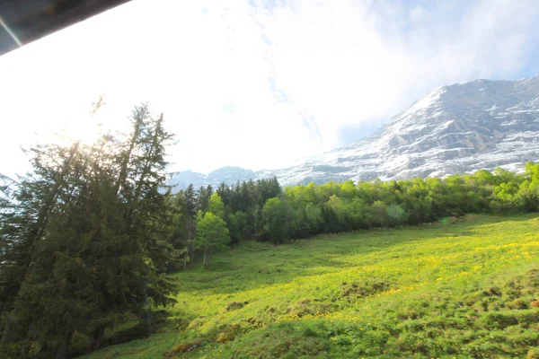 瑞士泰利斯山的绿地从360度全景看 瑞士的热门旅游景点 — 图库照片