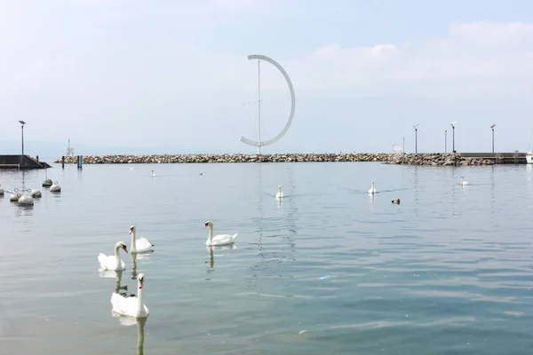 Geneva Suíça Maio 2017 Bela Vista Lago Genebra Paisagem Urbana — Fotografia de Stock