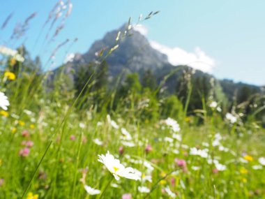 Kandersteg Oeschinen İsviçre manzaralı güzel dağ manzarası.