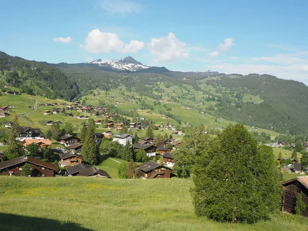 Visa Den Rigi Kulm Schweiz Synlig 360 Graden — Stockfoto