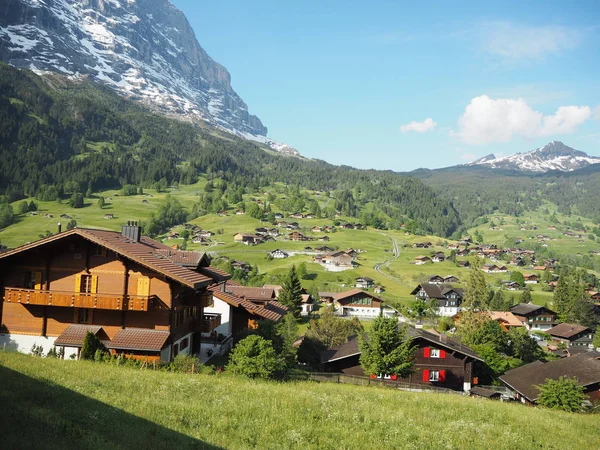 Visa Den Rigi Kulm Schweiz Synlig 360 Graden — Stockfoto