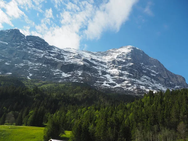 Visa Den Rigi Kulm Schweiz Synlig 360 Graden — Stockfoto